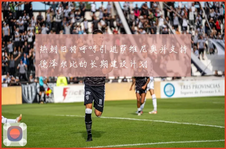 热刺旧将呼吁引进萨维尼奥并支持德泽尔比的长期建设计划